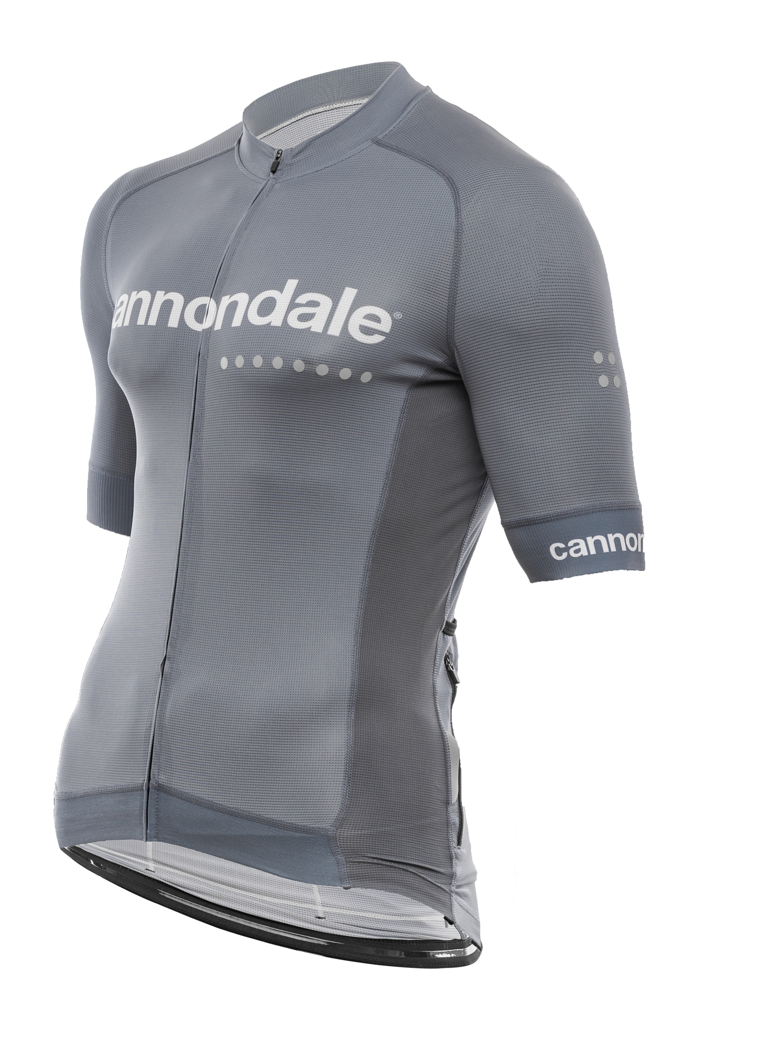 Джерси Cannondale кор. рукав, мужское, серое, L фото 2