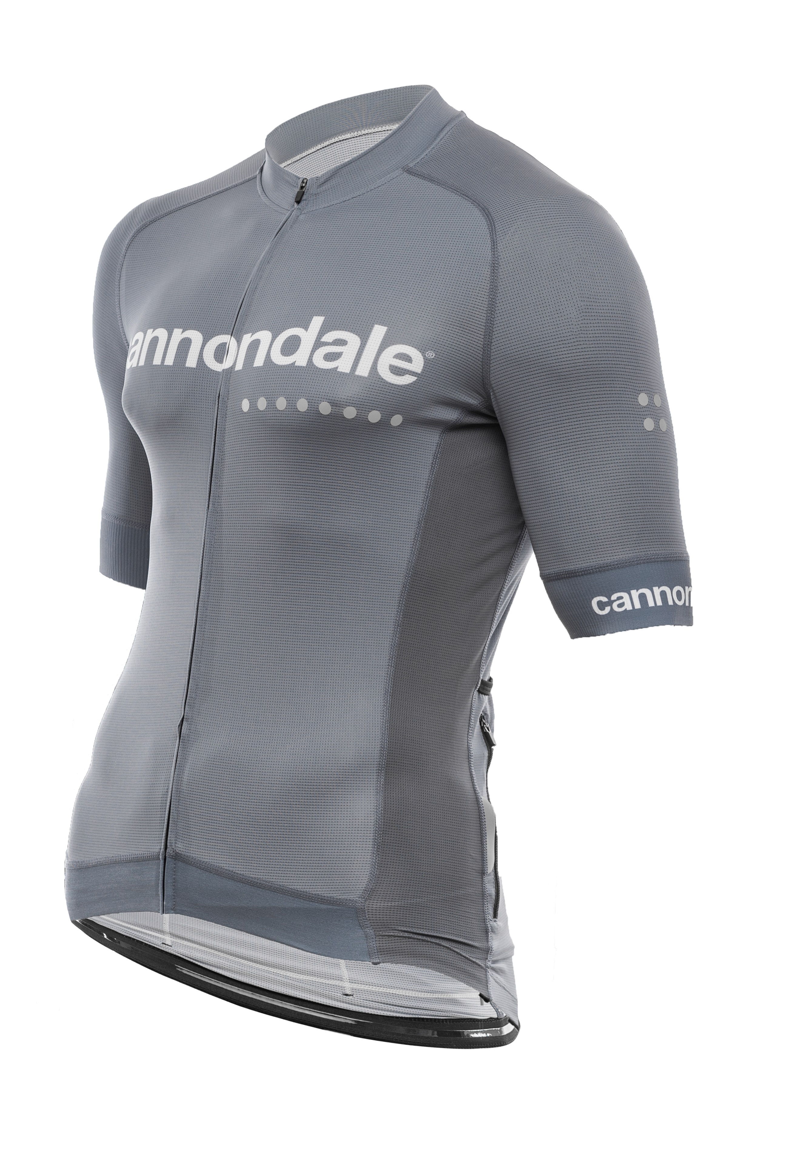 Джерси Cannondale кор. рукав, мужское, серое, XS фото 2