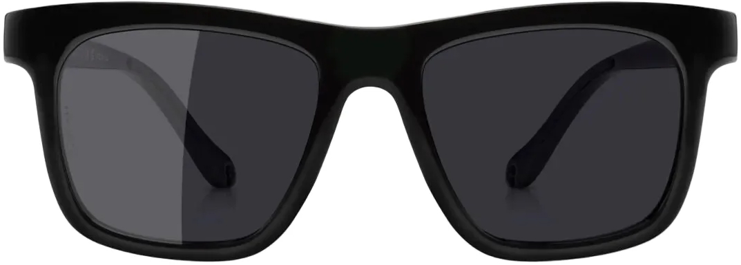 Очки Albaoptics ANVMA V.01 Black VZUM Polar фото 