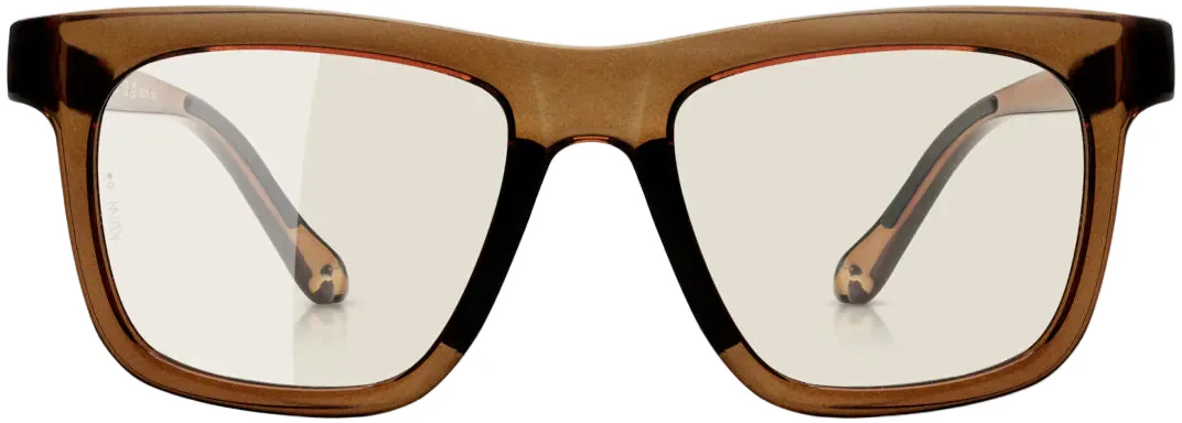 Очки Albaoptics ANVMA V.01 Brown Glossy VZUM F-Lens Rocket фотохромные фото 