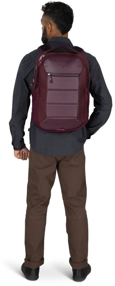 Рюкзак Osprey OZONE LAPTOP BACKPACK Moody Burgundy O/S фото 5