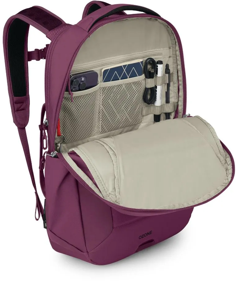 Рюкзак Osprey OZONE LAPTOP BACKPACK Moody Burgundy O/S фото 4
