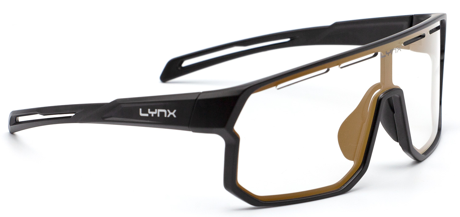 Очки Lynx BISMARCK PH B, Matt Black / #1 Smoke Photochromic with Gold Revo фото 