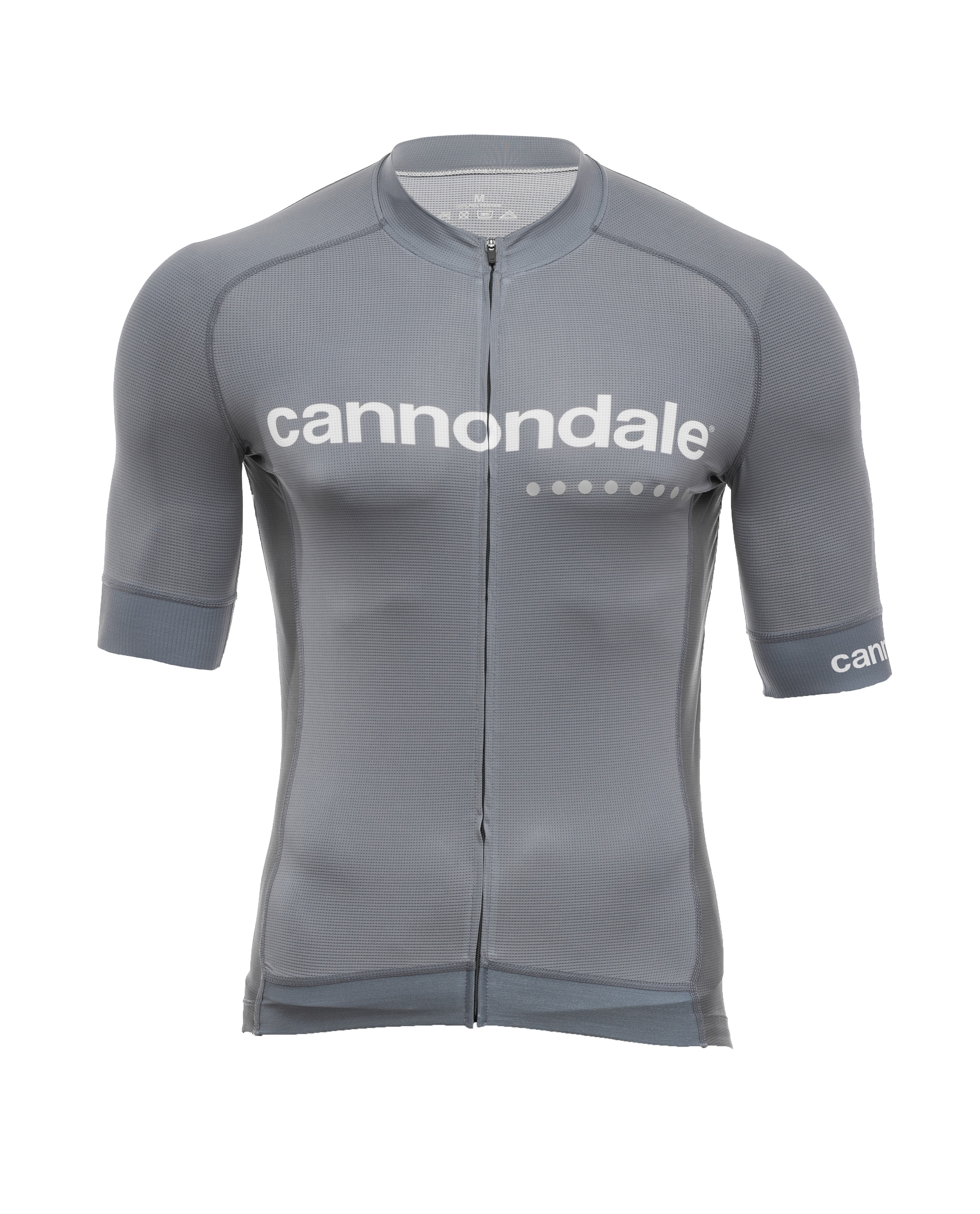 Джерси Cannondale кор. рукав, мужское, серое, M фото 