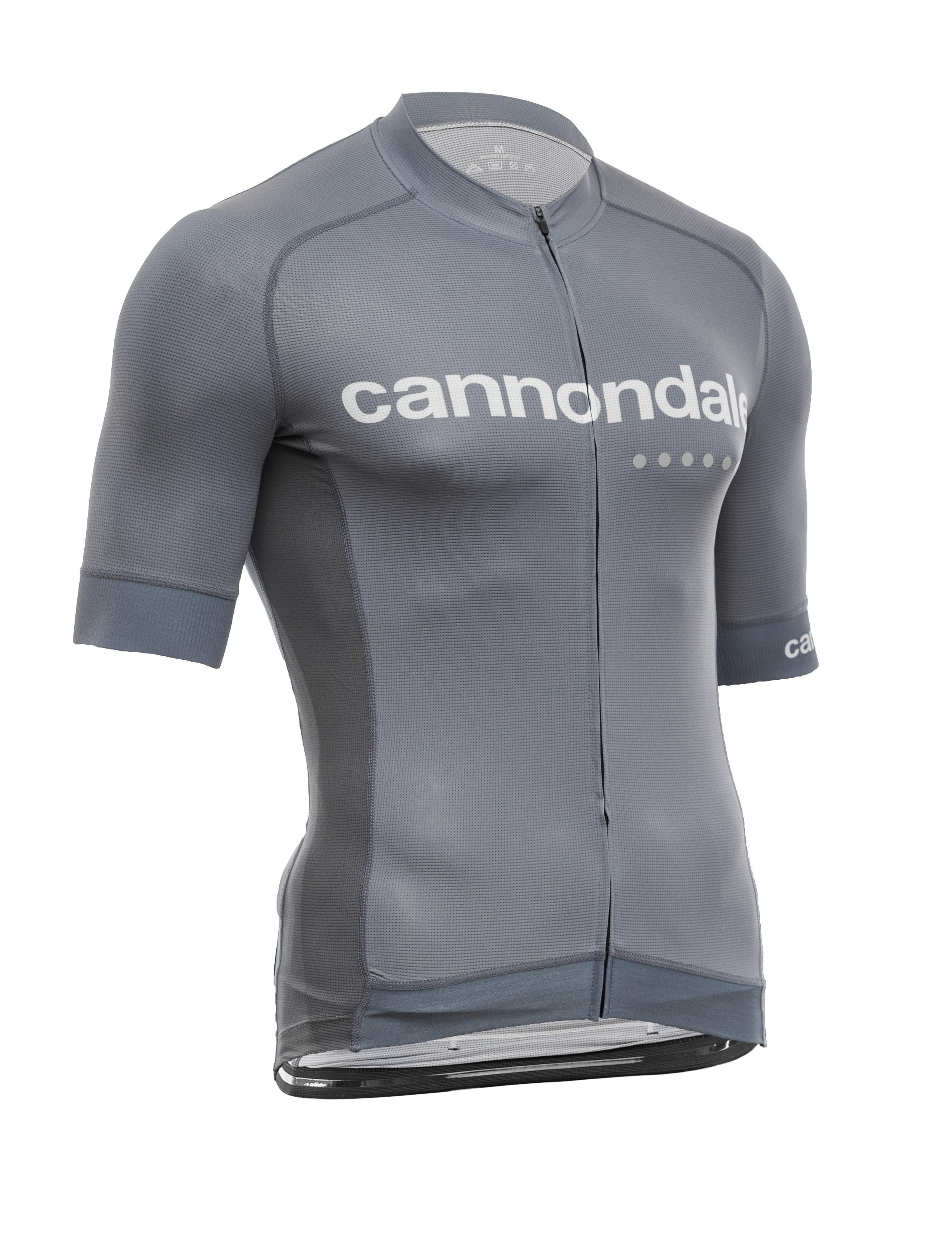 Джерси Cannondale кор. рукав, мужское, серое, XS фото 3