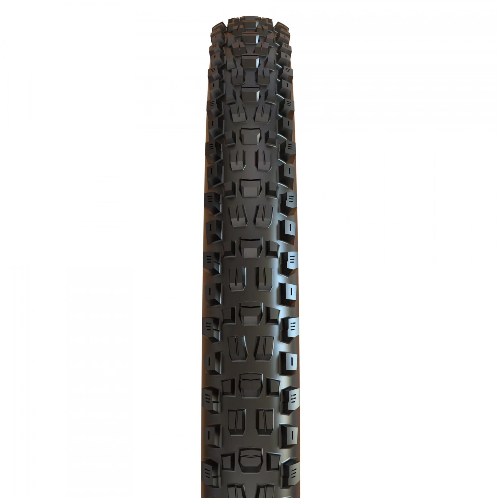 Покрышка 29x2.50WT Maxxis ASSEGAI, TPI60, Foldable, EXO/TR/TANWALL фото 2