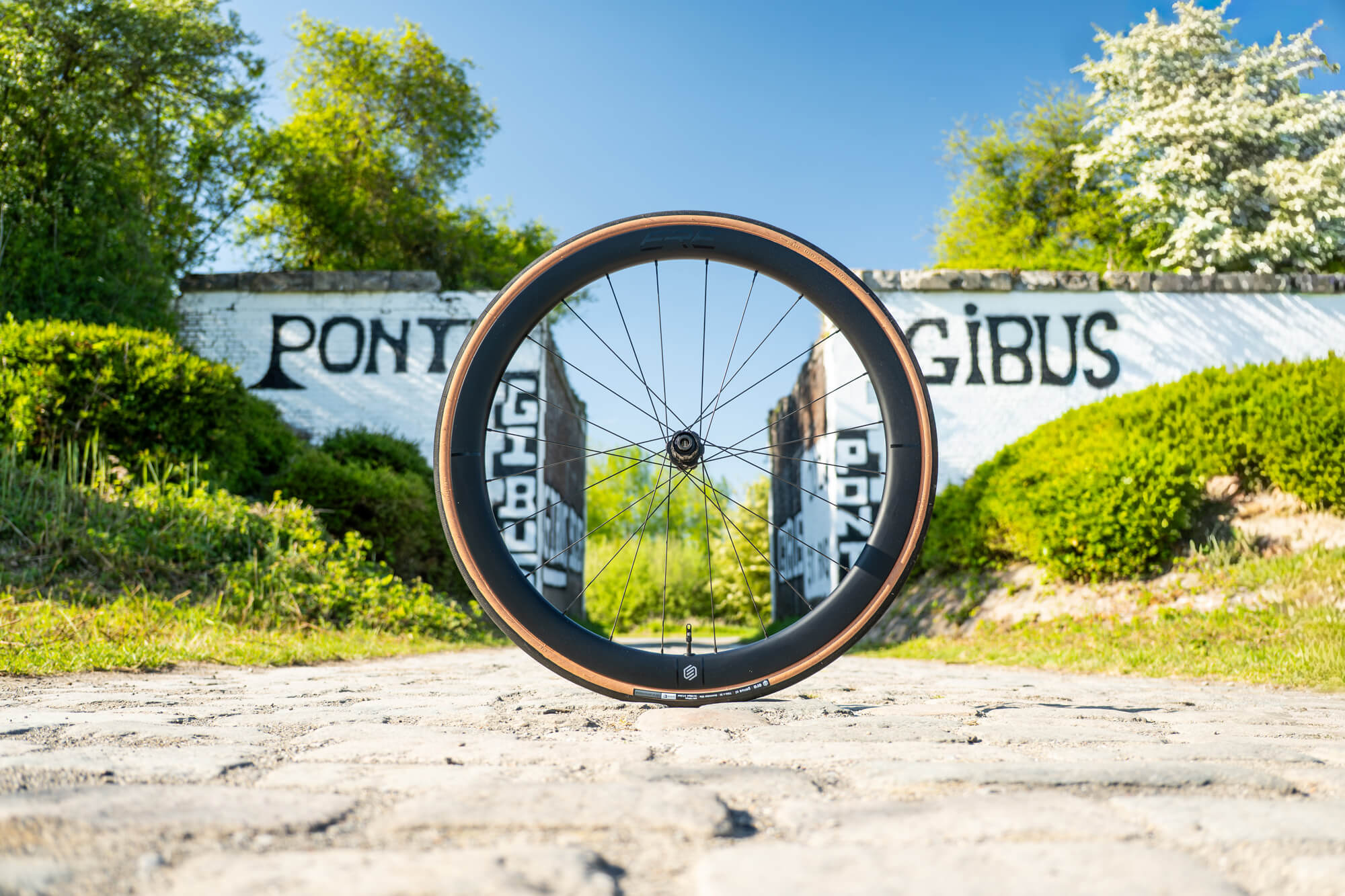 Колесо пер. + задн. 28" ERE EXPLORATOR CCR45 CARBON, Road, 100x12/142x12, CL, MS12, tubeless, чорний сатин фото 6
