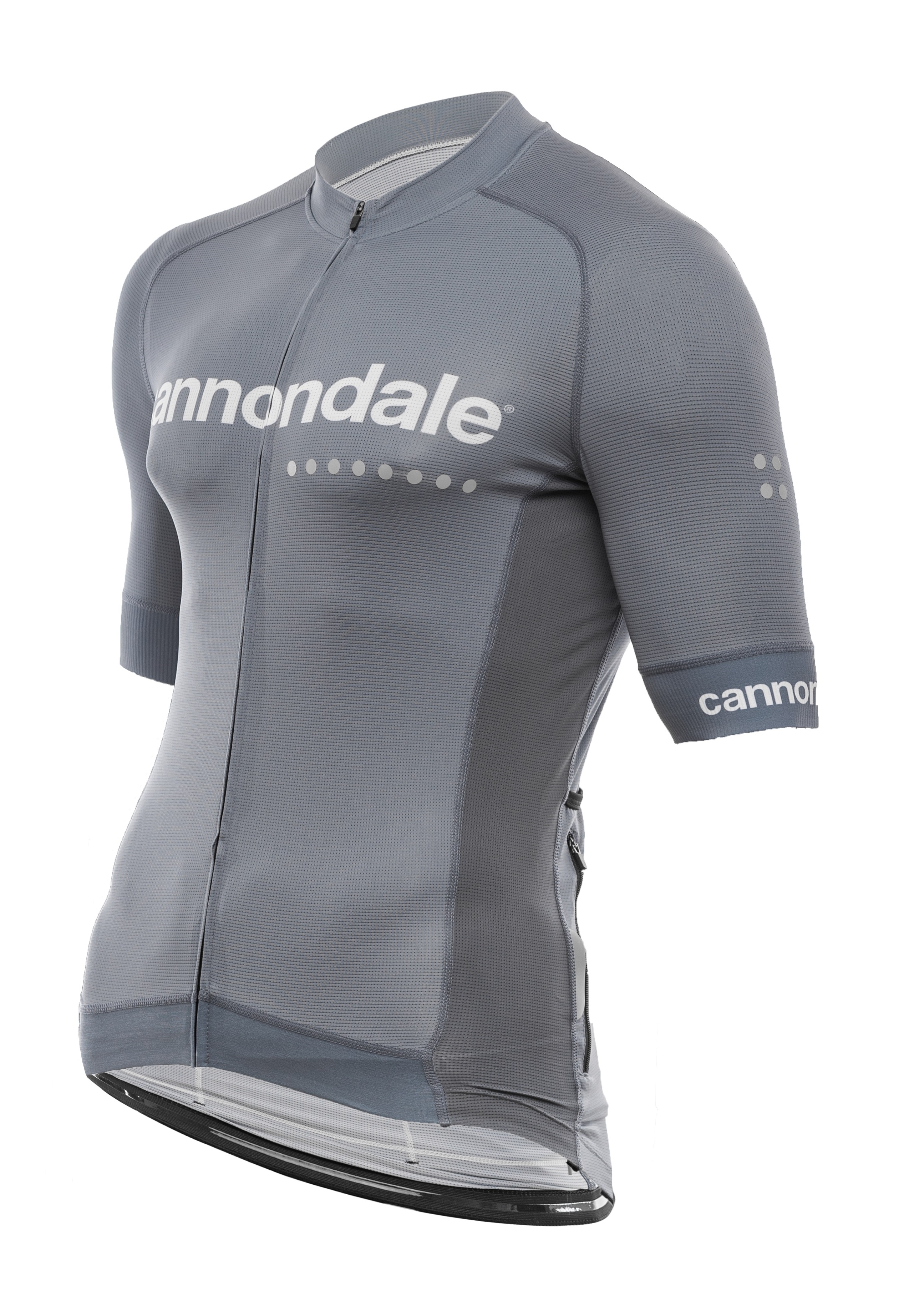 Джерси Cannondale кор. рукав, мужское, серое, M фото 2