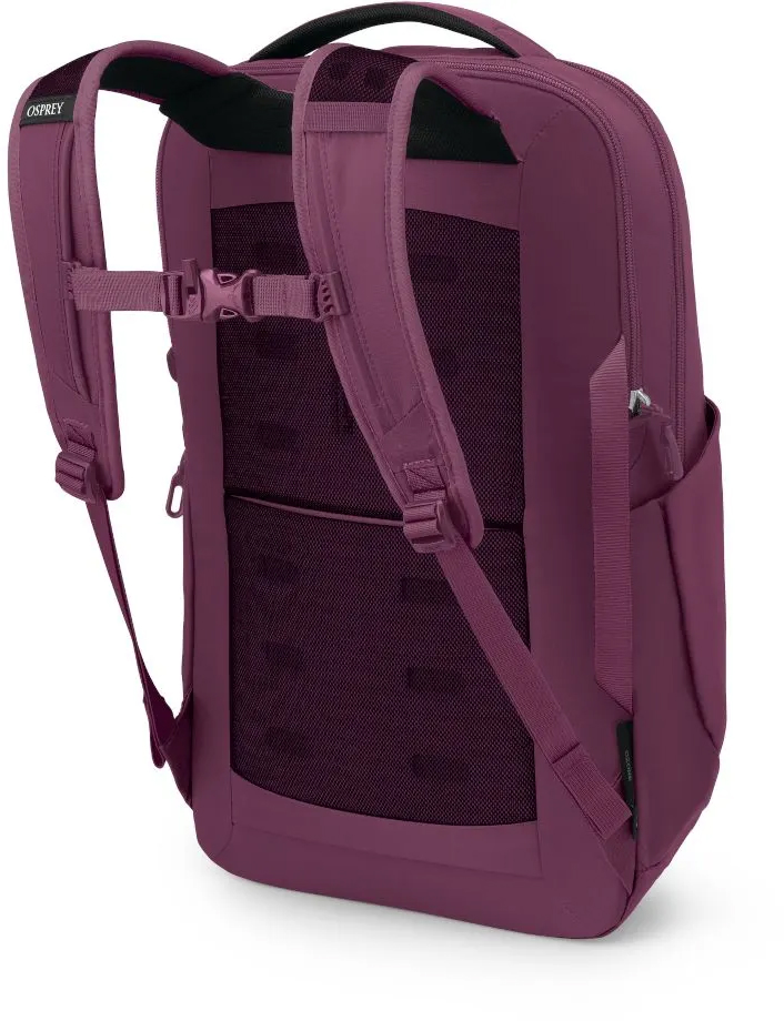 Рюкзак Osprey OZONE LAPTOP BACKPACK Moody Burgundy O/S фото 3
