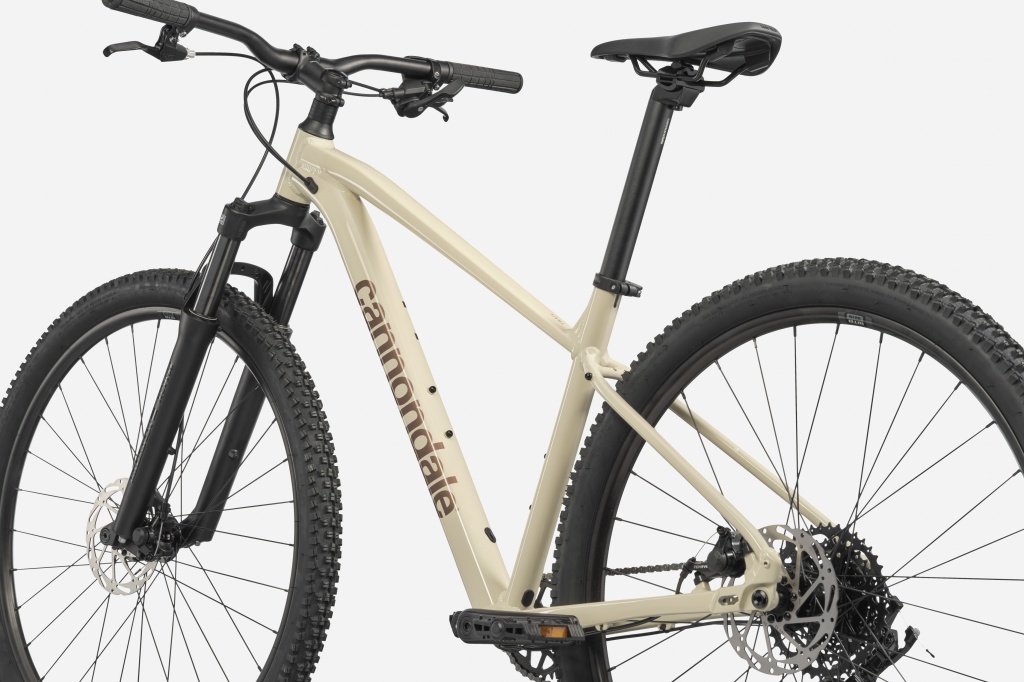 blog-trail-4.jpg