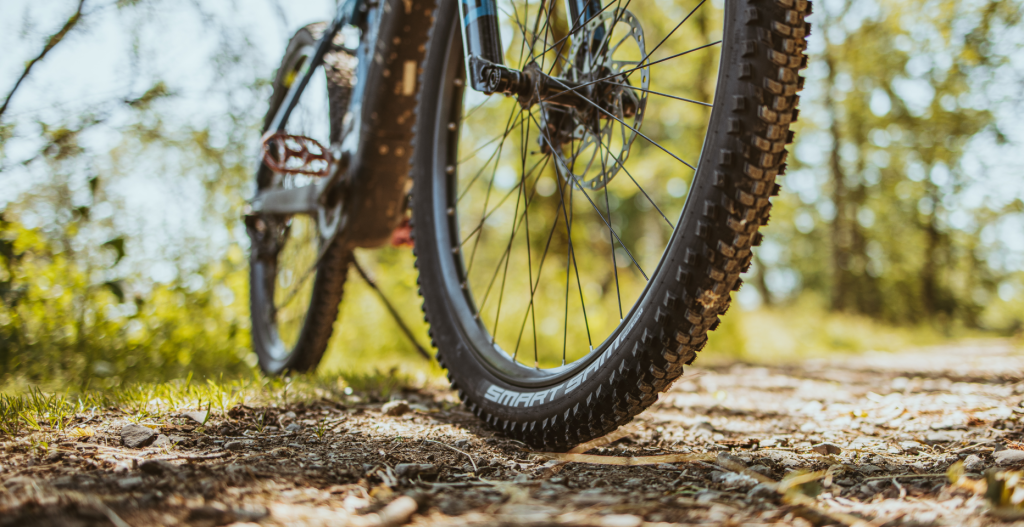 schwalbe1.png schwalbe1.png